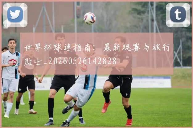 世界杯球迷指南：最新观赛与旅行贴士_20260526142828